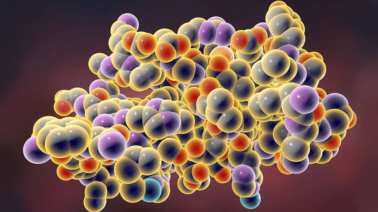 O modelo de insulina é hormônio, graças ao qual o corpo assimila a glicose